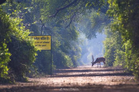 Not Allowed Beyond This Point