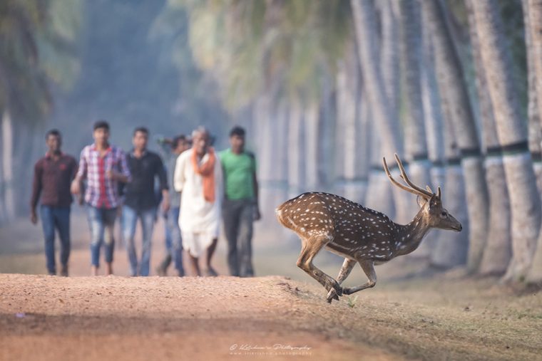 Man vs Wild