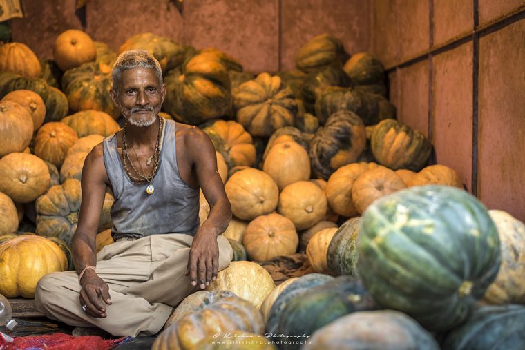 Pumpkin Seller