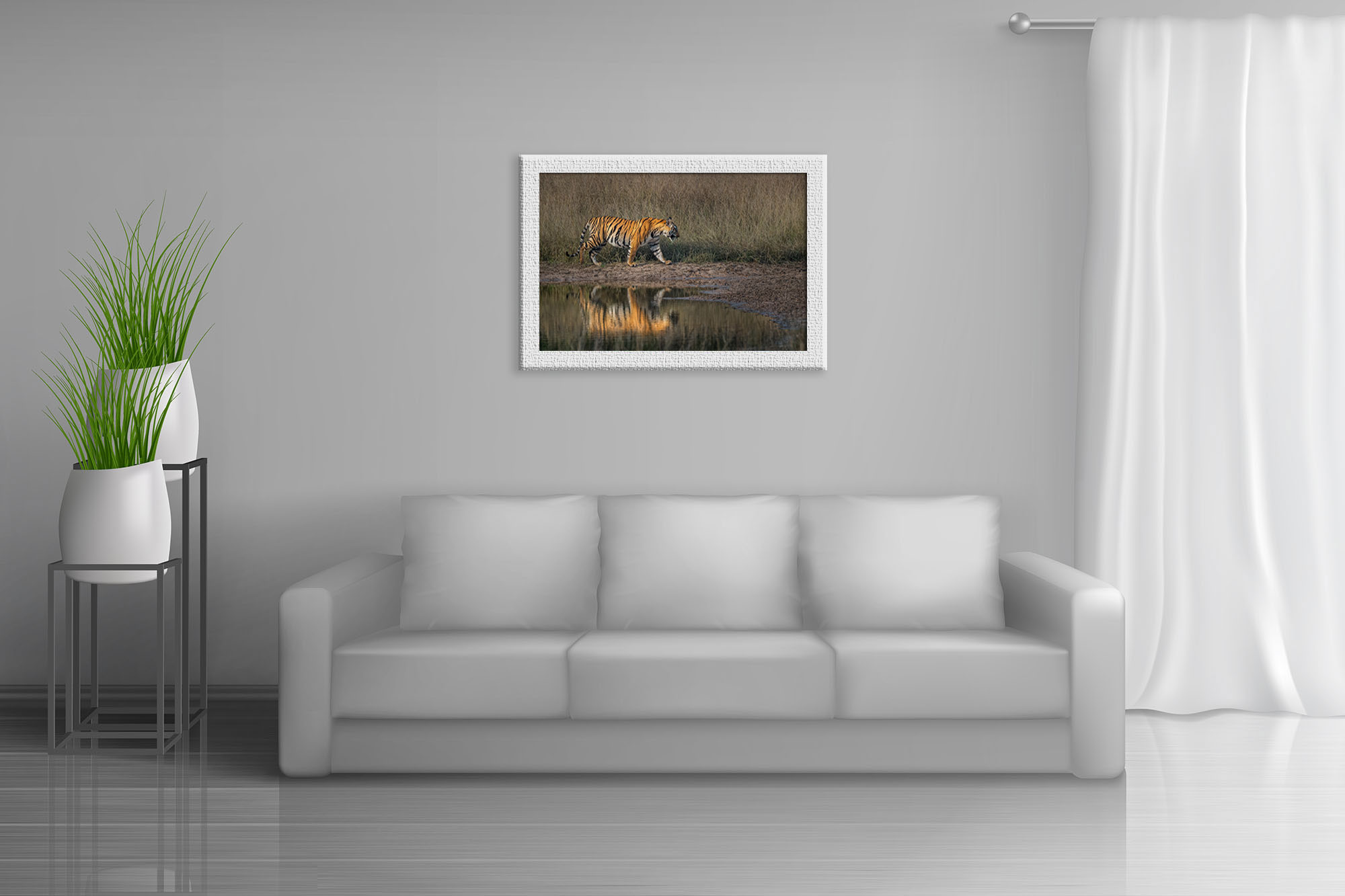 Tiger Reflection - Image 4